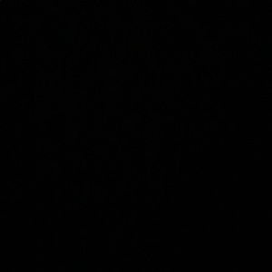 Meet your Posher, Priscilla